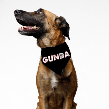 PawsIndia Pet Bandana - Gunda